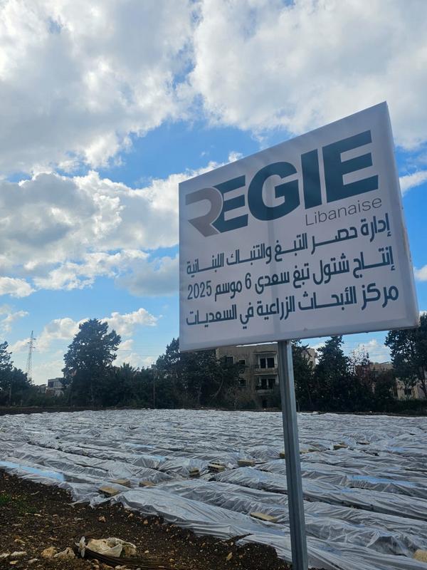 “الريجي” توزع شتولاً على مزارعي الجنوب وخصوصاً القرى الأمامية “الريجي” توزع شتولاً على مزارعي الجنوب وخصوصاً القرى الأمامية