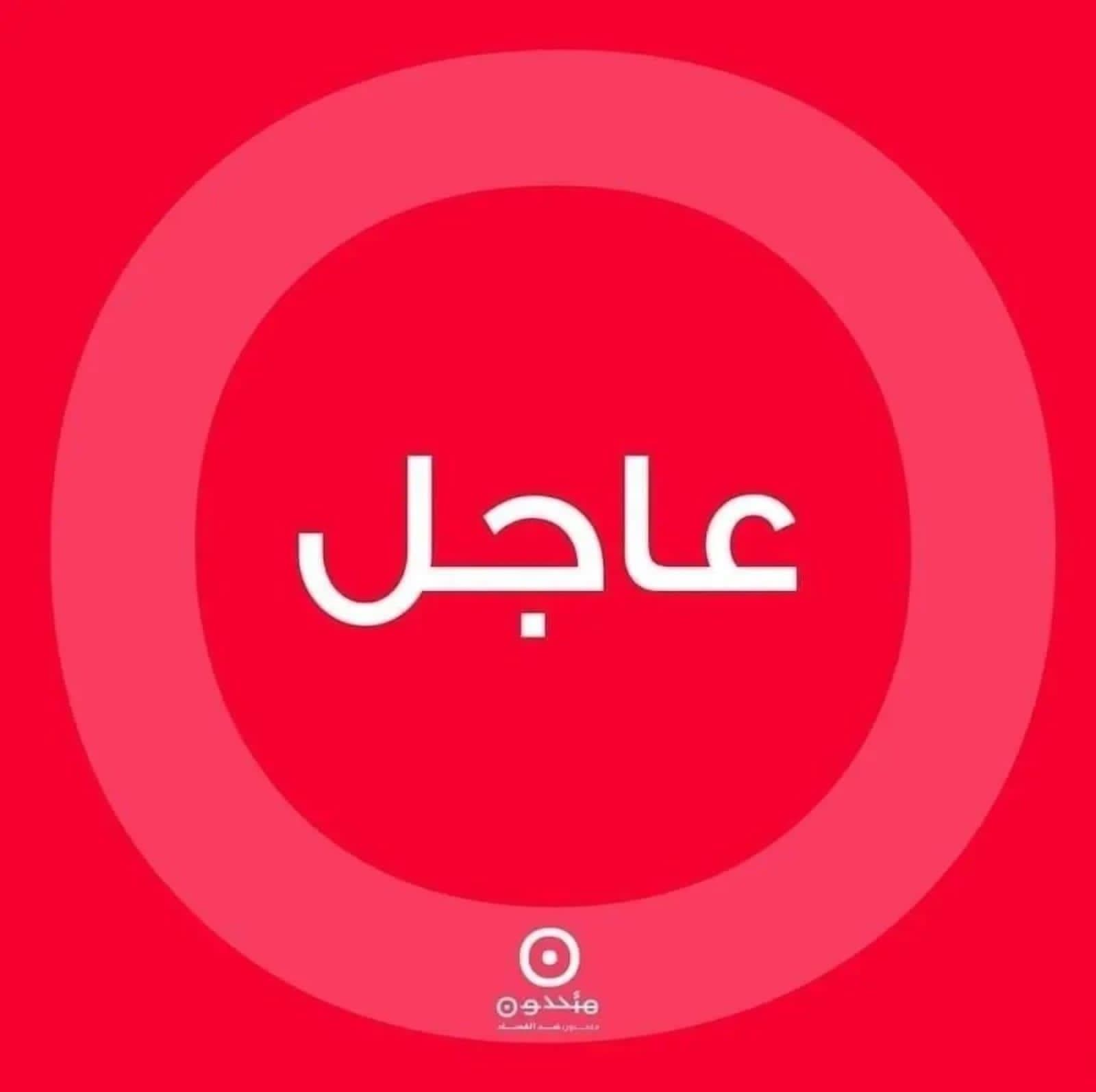 القاضي البيطار يقبل الشكوى المباشرة لزياد ريشا الذي فقد والدته في انفجار المرفأ